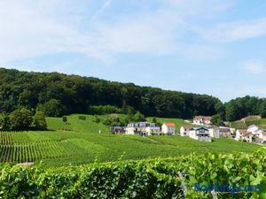 Image of B&B en Champagne
