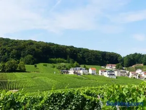 Image of B&B en Champagne