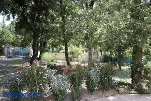 Image of La Flassantine - Appartement