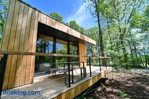 Image of Forest Cube