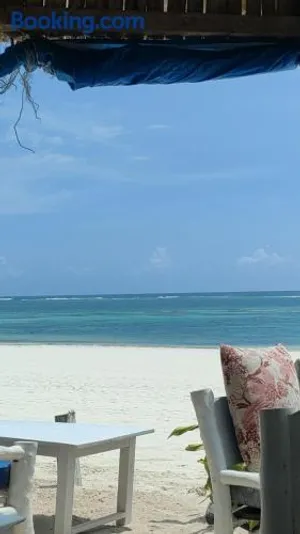 Image of Jungle casa
