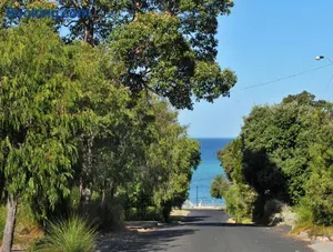 Image of Endless Summer