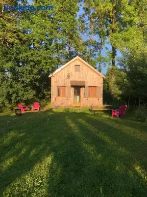 Image of Tiny-House sous les arbres et les oiseaux