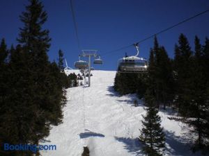 Image of Almrauschhütte Markus