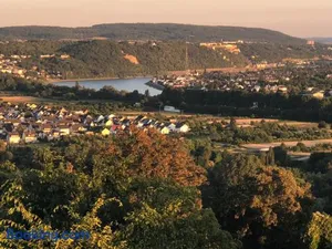 Image of Humboldtruh