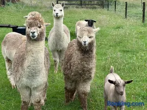 Image of Bush Retreat Farm Stay 1BR Guest Suite