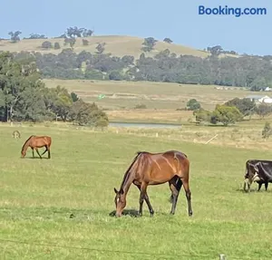 Image of The Lancefield cottage - relax, revive and renew