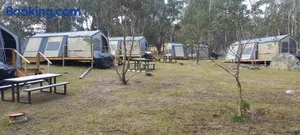 Image of Snowgum Camping Farmstay