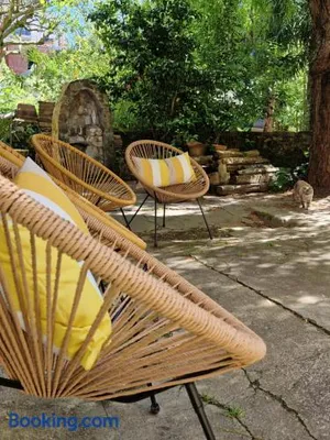 Image of Le jardin aux camélias