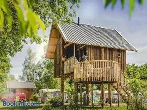 Image of Beautiful wooden tree house with terrace