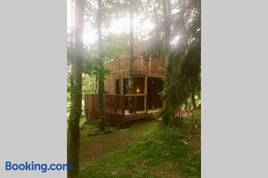 Image of Adorable Cabane dans un espace boisé