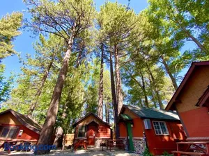 Image of The Village Cabins