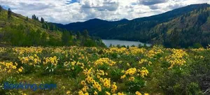 Image of Twisp River Suites