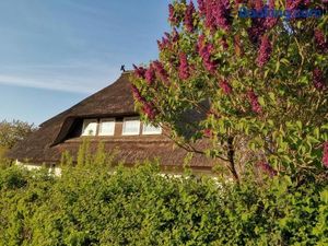 Image of Gemütliche Ferienwohnung unterm Reetdach