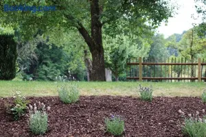 Image of Lautertal Zinne