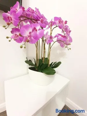 Image of Manchester Holiday Apartment