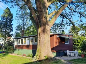 Image of Ferienhaus Eichenblatt