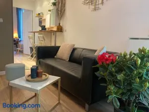 Image of Magnifique appartement T2 aux portes de Paris