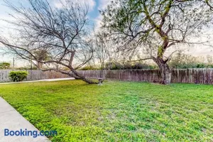 Image of Birder's Heaven at 621 Palm