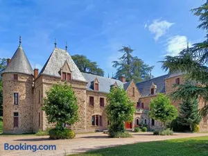 Image of Château de Bussolles