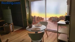 Image of Ô Plaisir Ô Désir