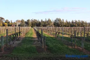 Image of Milawa Vineyard Views - Guesthouse 1