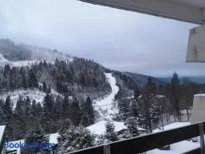 Image of La Bresse OURSON