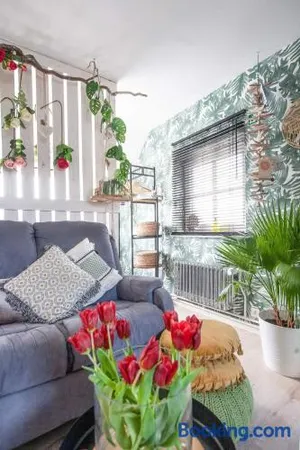 Image of Zalig Cosy appartement 2-4 pers.fietsen & tuin