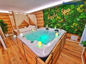 Image of JUNGLE SPA-4 Pers-Jacuzzi-Parking-Jardin-Clim-Colmar