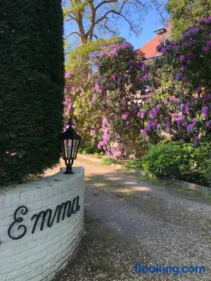 Image of Modern Palace Emma Staete