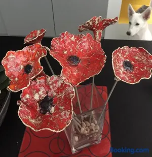 Image of Coquelicot