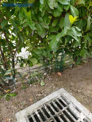 Image of Le Nid Savoyard