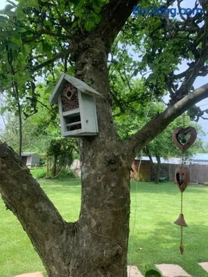Image of Little Banks Cabin