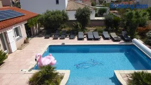 Image of les 2 dauphins