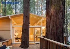 Image of Window to the Redwoods - Near Downtown MV, Dipsea Trail, & Muir Woods