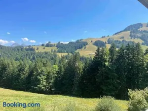 Image of Superbe appartement 3.5 avec cheminée