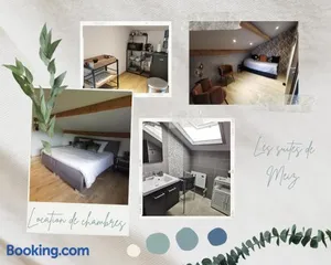 Image of Les Suites de Meiz