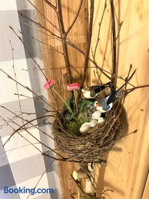 Image of Antjes kleines Nest