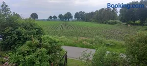Image of zum Kranichblick