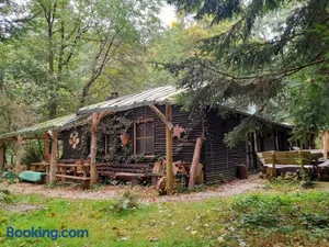 Image of Das wilde Auwaldhaus