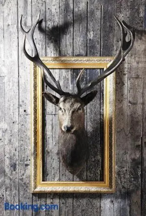 Image of Landhotel Hirsch