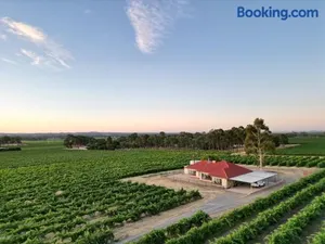 Image of McGill Vineyard Barossa