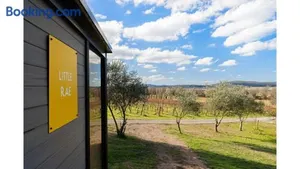 Image of Rae at Lake George Winery by Tiny Away