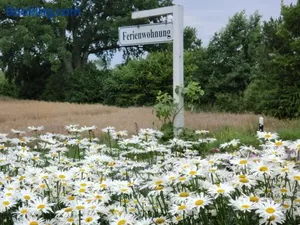 Image of Ferienwohnung am Sophienberg