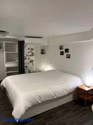 Image of Appartement climatisé ALBI - Centre