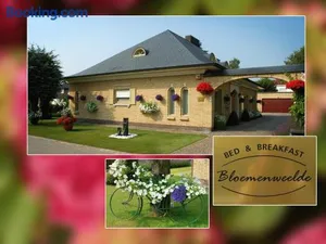 Image of B&B Bloemenweelde