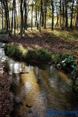Image of Chambres d'hôtes à Pontonx
