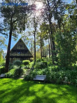 Image of The Lavender Patch