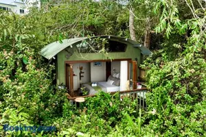 Image of The Beach Treehouse
