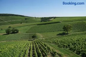 Image of Au pied des Vignes